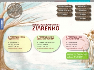 Profesjonalna opieka nad małymi dziećmi